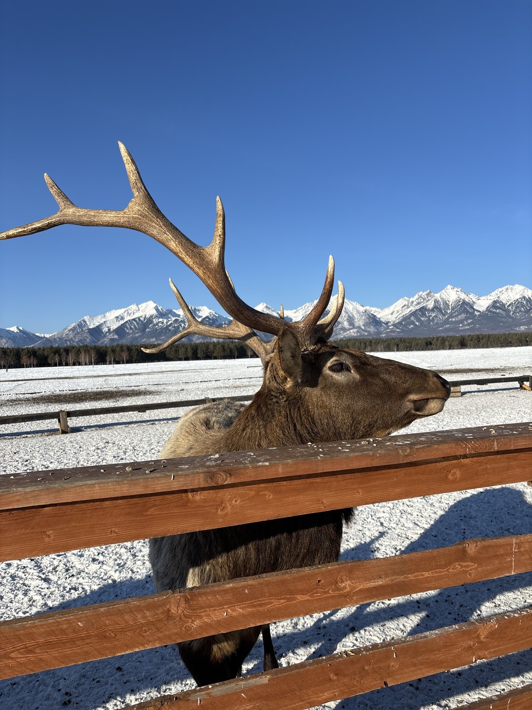 Аршан и купание в горячих источниках: экскурсия в мини-группе (Марина)