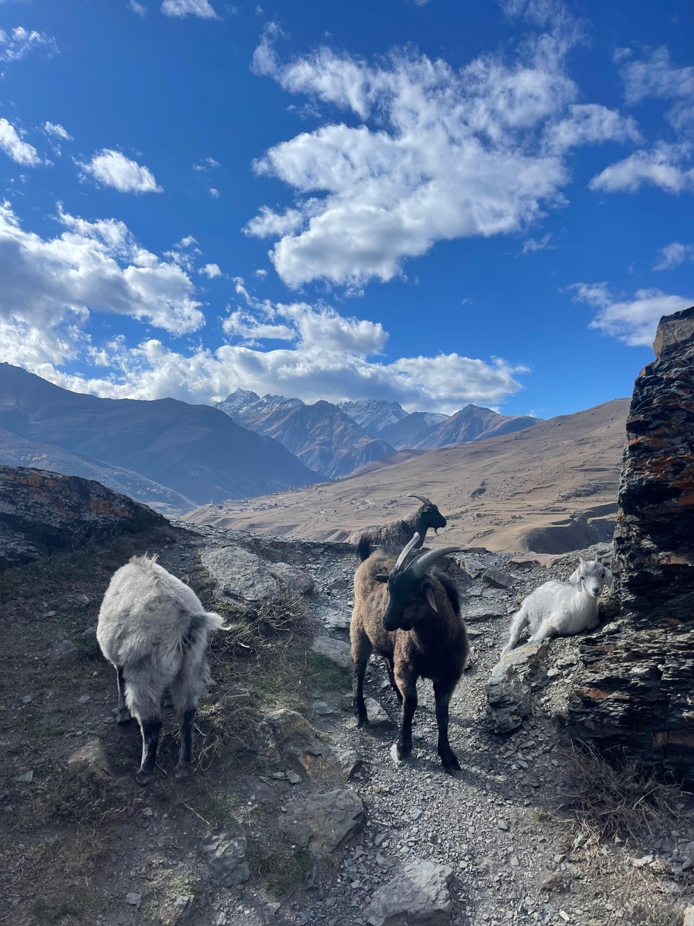 В окружении гор: лучшие места Северной Осетии за 1 день (в группе) (16/18)