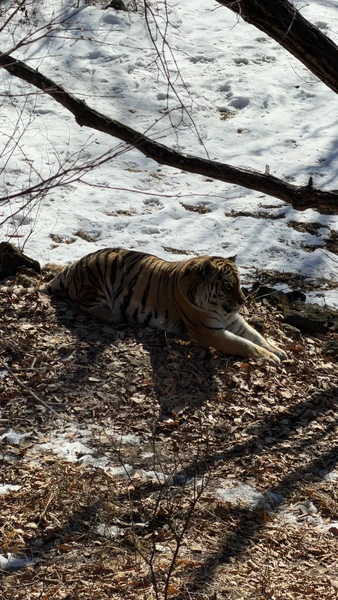 Замечательная экскурсия, Обязательно к посещению, Я была зимой, думаю летом будет ещё красивее