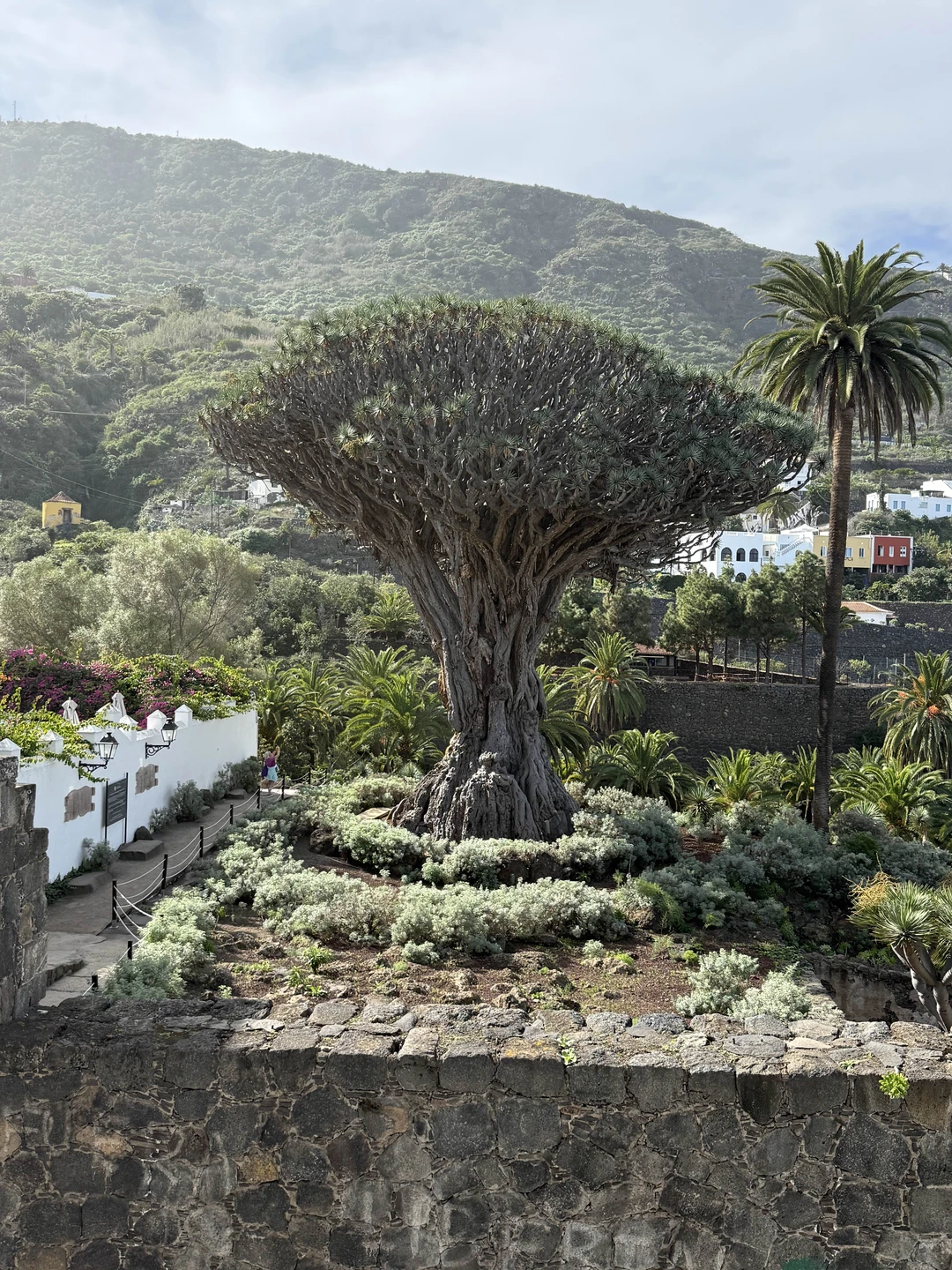 Отличная экскурсия, красивые виды, вкусный ресторан и прекрасный гид. Очень рекомендую)