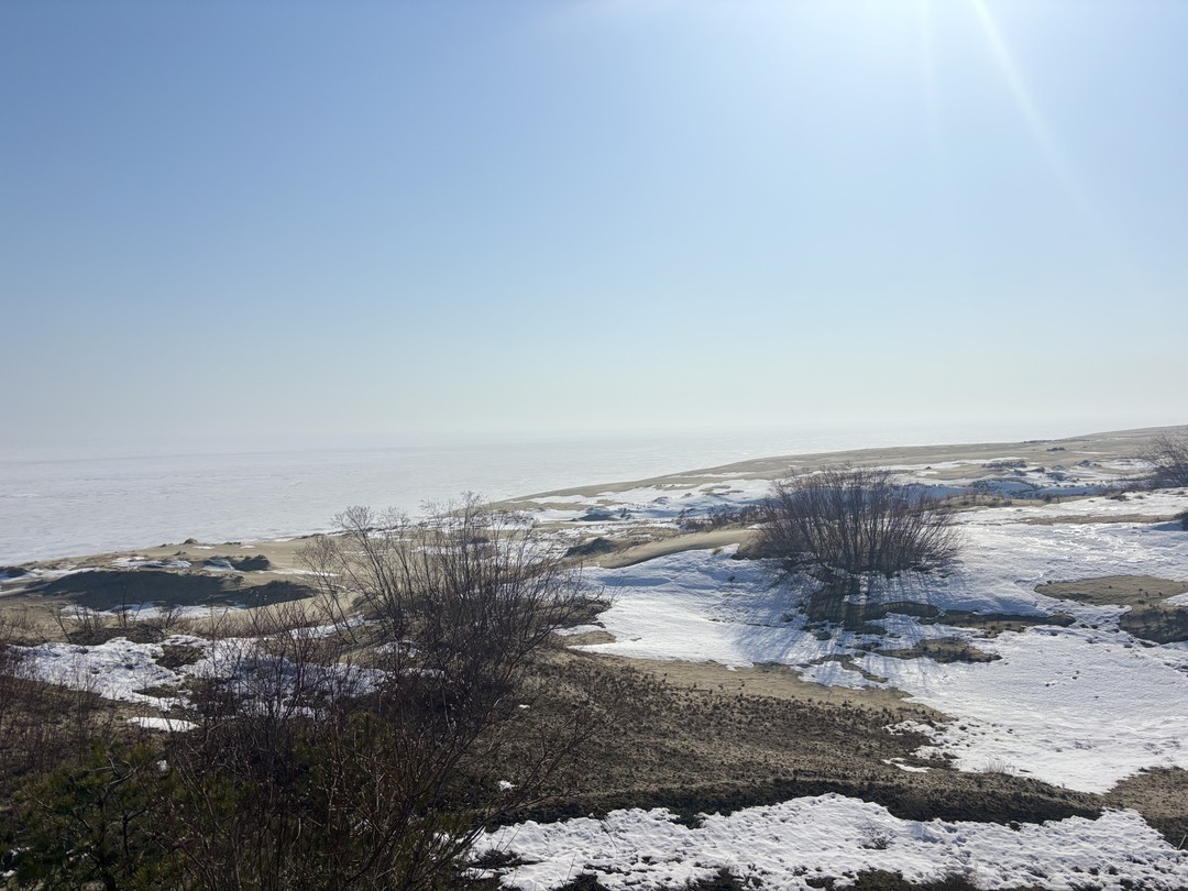 Утренняя Куршская коса, Зеленоградск и замок Нессельбек на автобусе (Оксана)