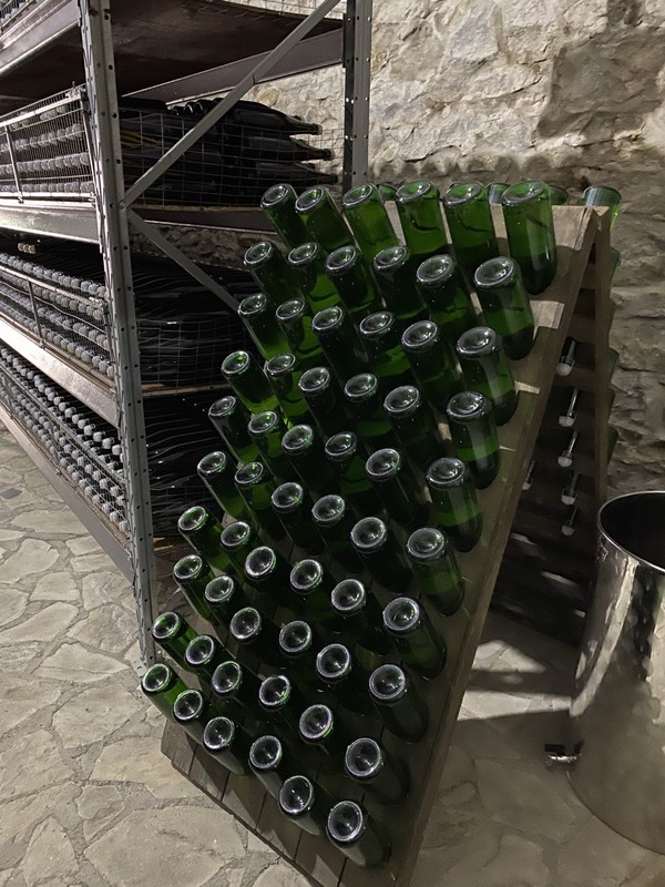 Виды Эногастрономическое путешествие из Железноводска: винодельня и форелевое хозяйство