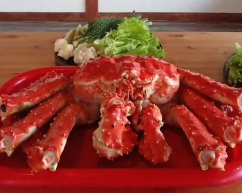 Перелёт на Итуруп, плато Янкито