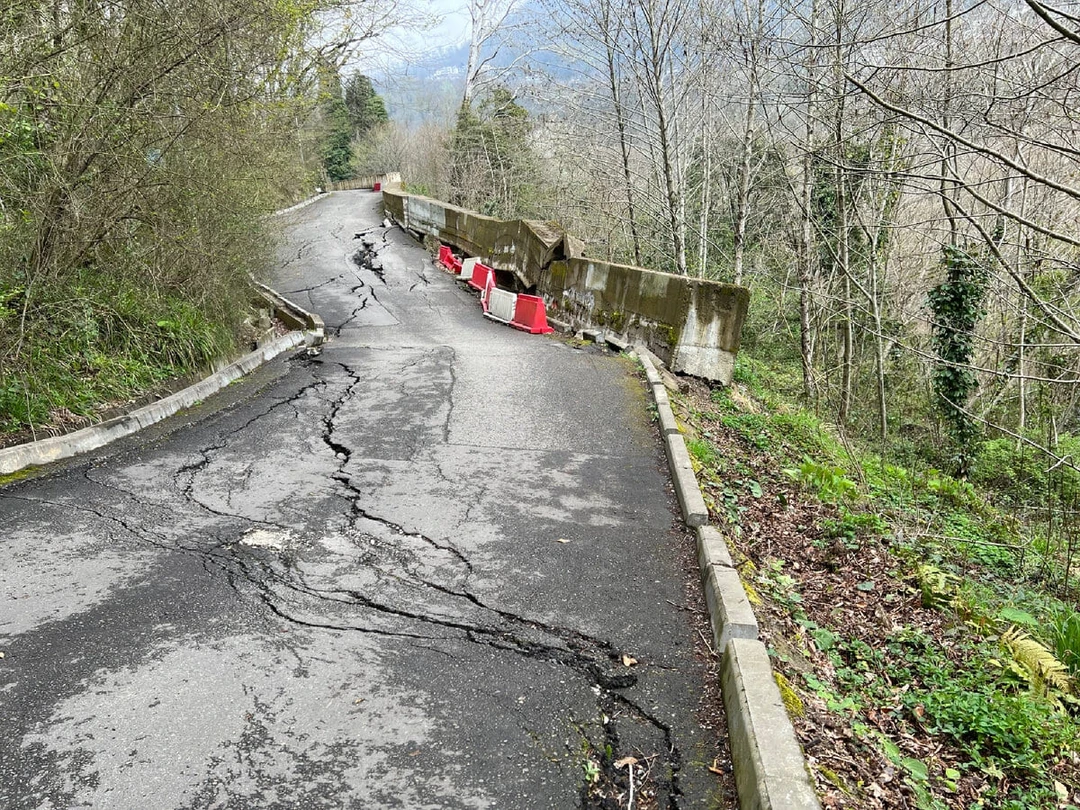 Тисо‑Самшитовая роща