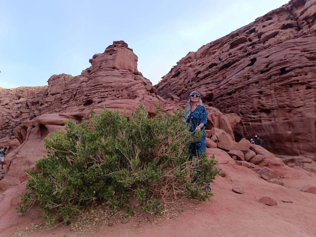 Замечательная экскурсия! Спасибо Анастасии и Омару! 🌹🌹🌹