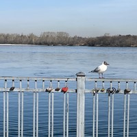 Фото отзыва 2: экскурсия "Время Иркутска: погружение в историю города"