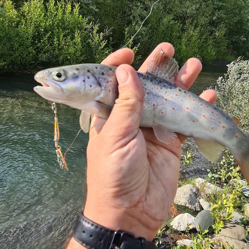 Морская и речная рыбалка в Сочи (4/21)