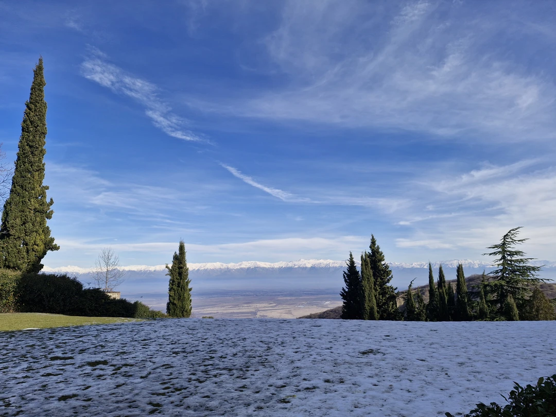 Групповая поездка в Кахетию: Бодбе, Сигнахи и Цинандали (Юлия)