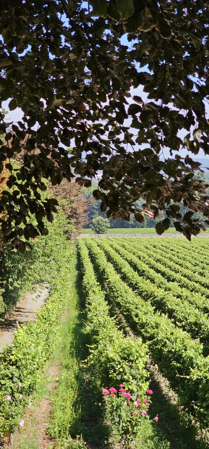 Очень понравилось! Гид умничка! Интересно и много рассказывал. Рекомендую.