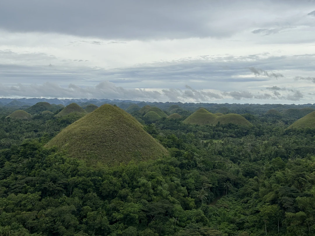 Высший уровень сервиса и незабываемая встреча с китовыми акулами