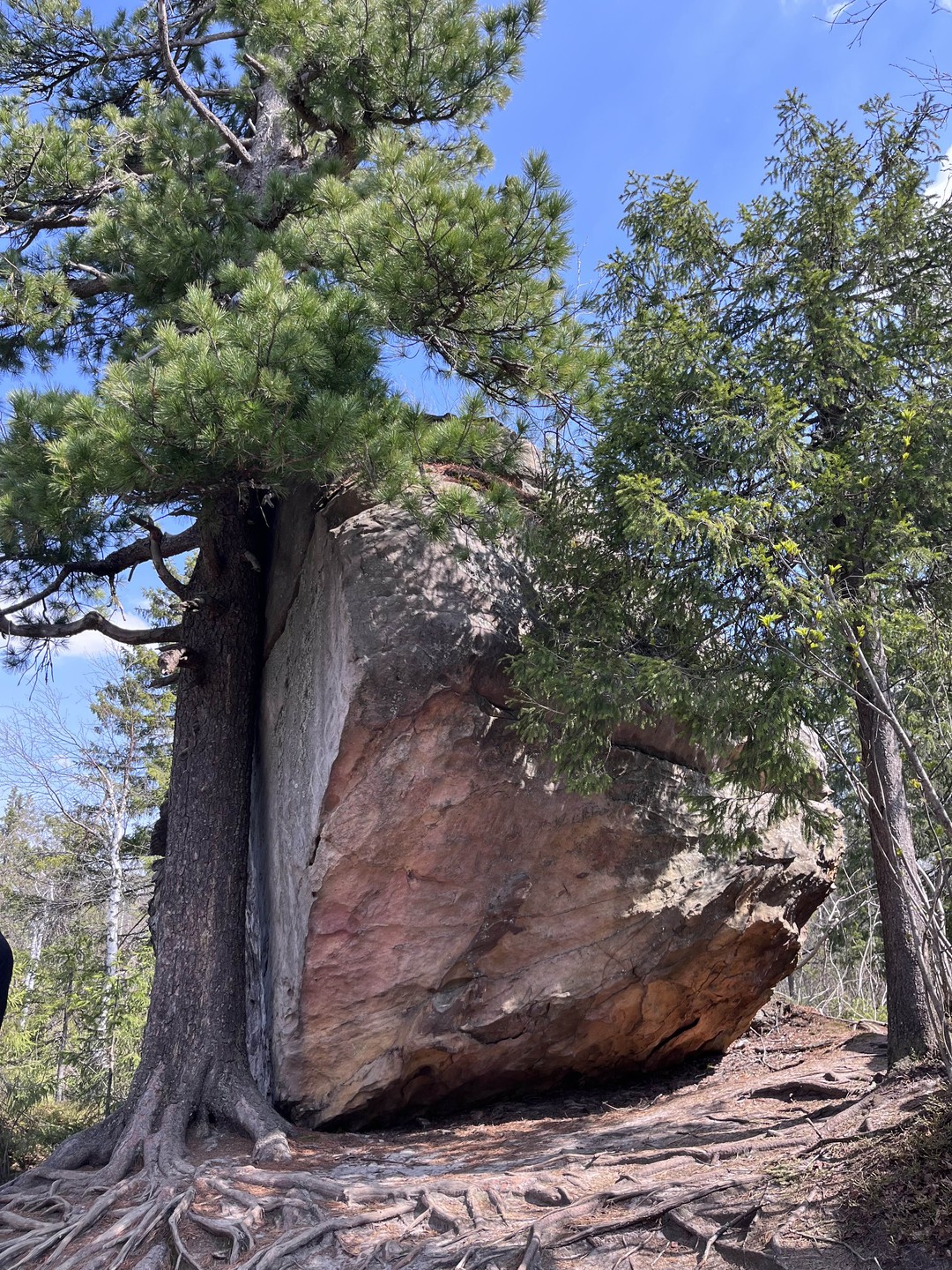 Шикарная экскурсия!!!