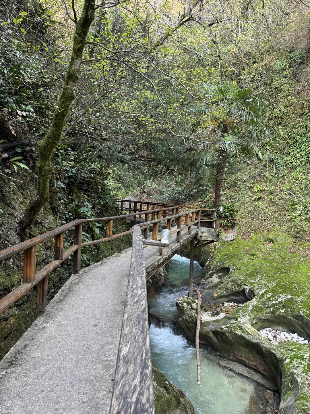 Все прошло просто замечательно! Невероятной красоты локации, прекрасная организация и замечательная гид Мадина! Всем советую, не