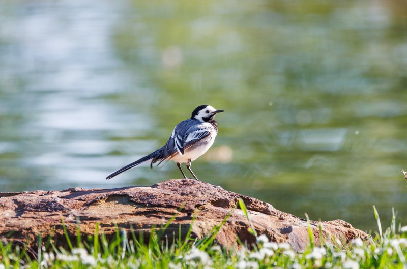 Семейные выходные на базе отдыха: индивидуальный тур с катанием на квадроциклах, баней и рыбалкой
