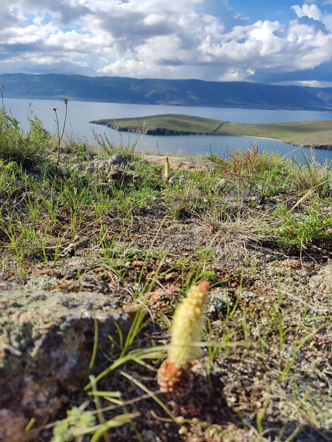 Экскурсия была заменена на экскурсию на Ольхон. Так как в бухту Ая и Тажеранское побережье, группы не собирают