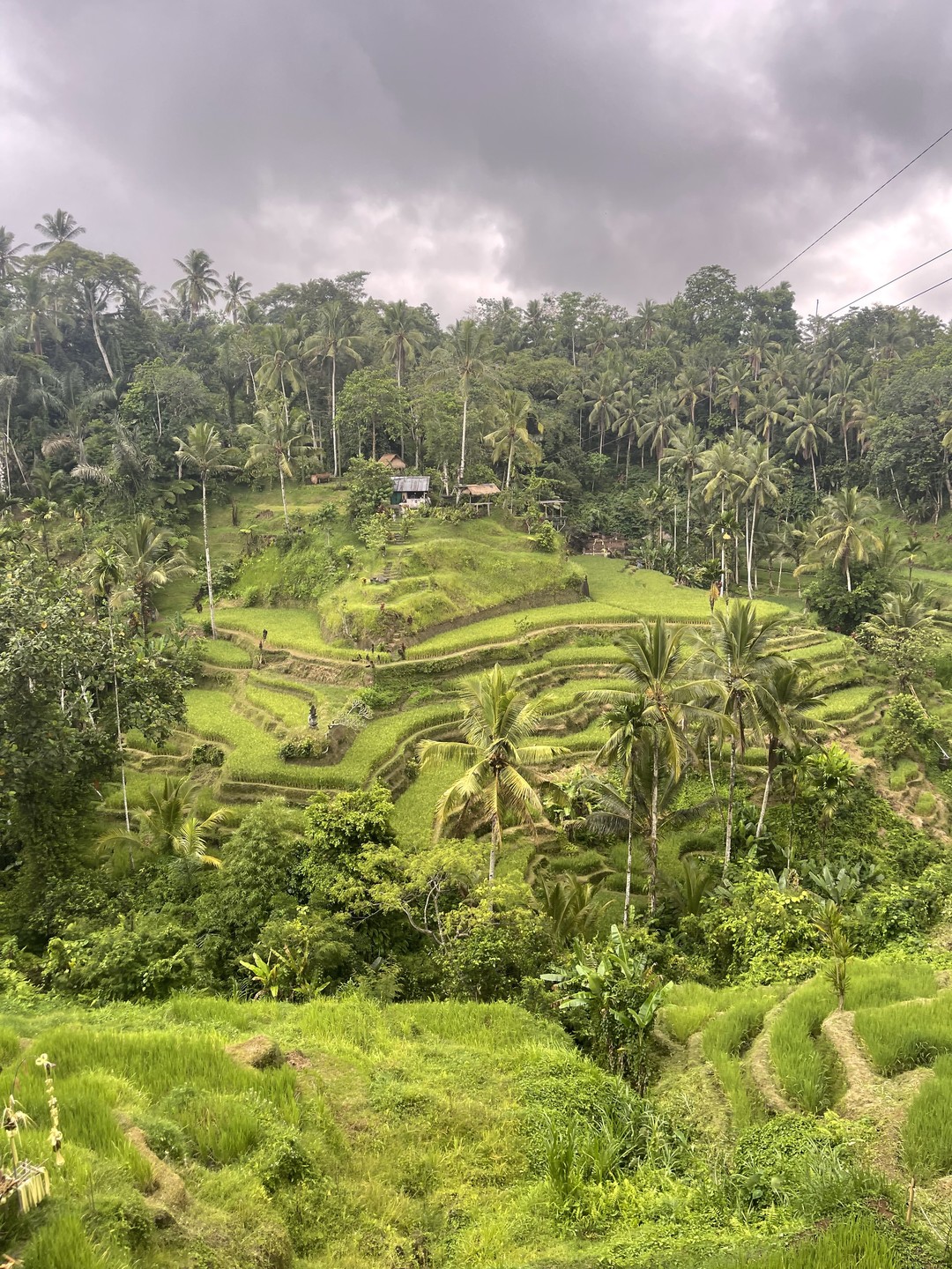 У меня была индивидуальная однодневная экскурсия с Вайаном и этот день оставил у меня массу позитивных