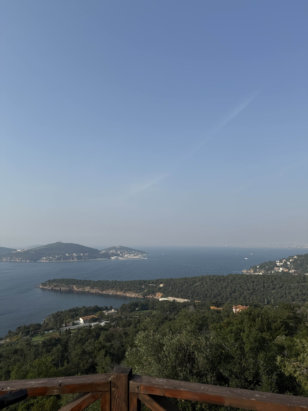 04.11.2025 мы посетили экскурсию с Диной на Принцевых островах и вспоминаем ее до сих пор