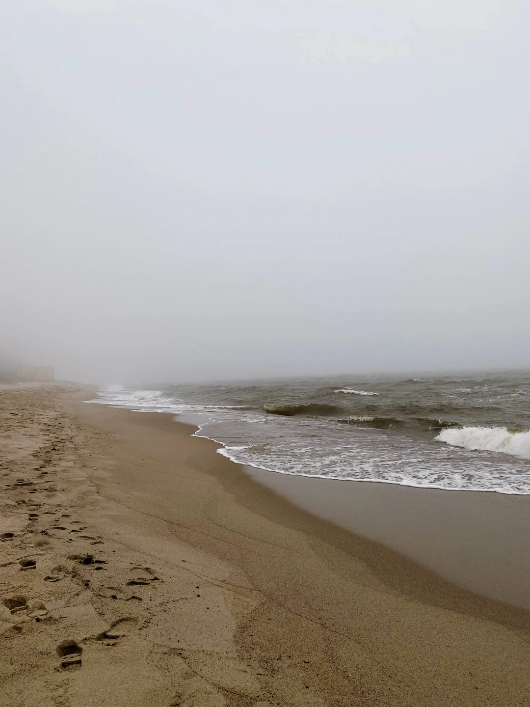 Я впервые оказалась в Калининградской области и очень хотела увидеть максимум интересного, но при этом не