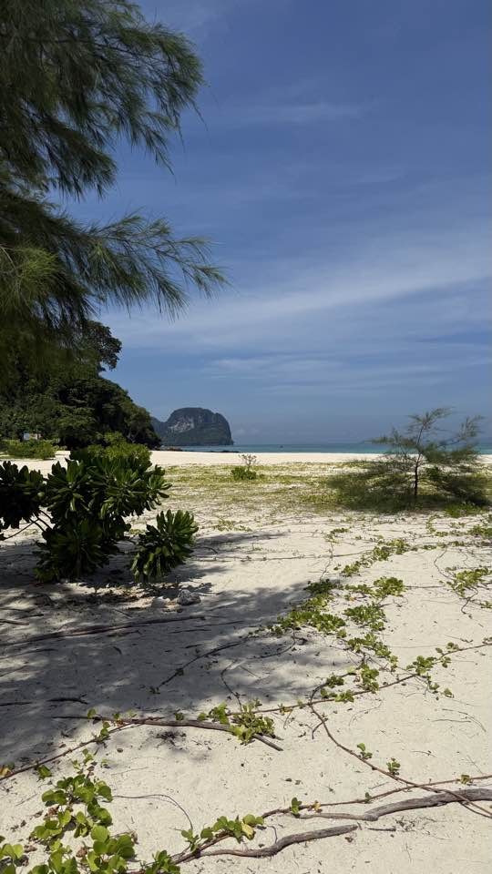 Очень насыщенная программа - много локаций, отличные гиды. С погодой повезло - большую часть времени солнечно