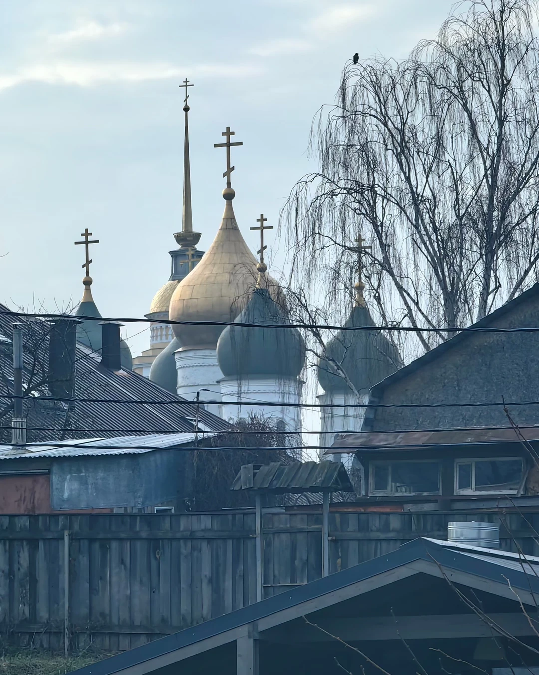 Спасибо за отличное мероприятие для ознакомления с городом! Всё очень понравилось - несмотря на несезон и непогоду