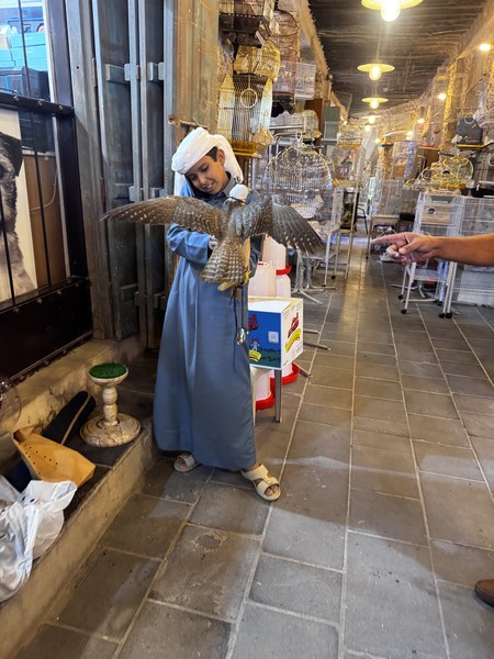 Хотим выразить огромную благодарность Фирасу за незабываемую обзорную экскурсию по Дохе! Если вы ищете не просто