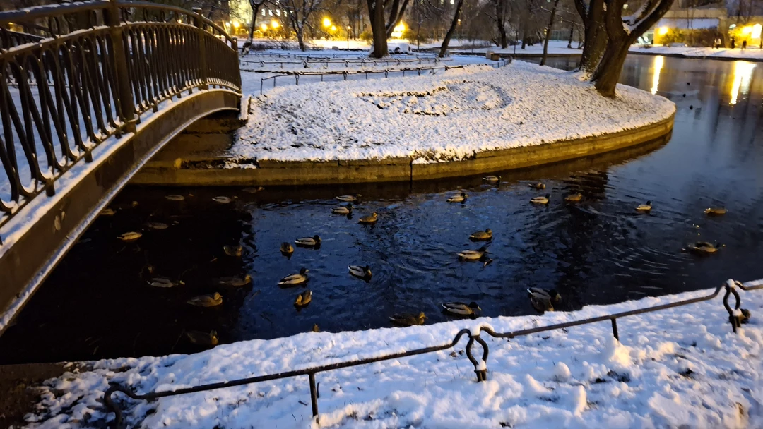 Воспользовались с дочерью 15 лет услугами Михаила по проведению данной экскурсии. Нам ОЧЕНЬ понравилось! ❤️