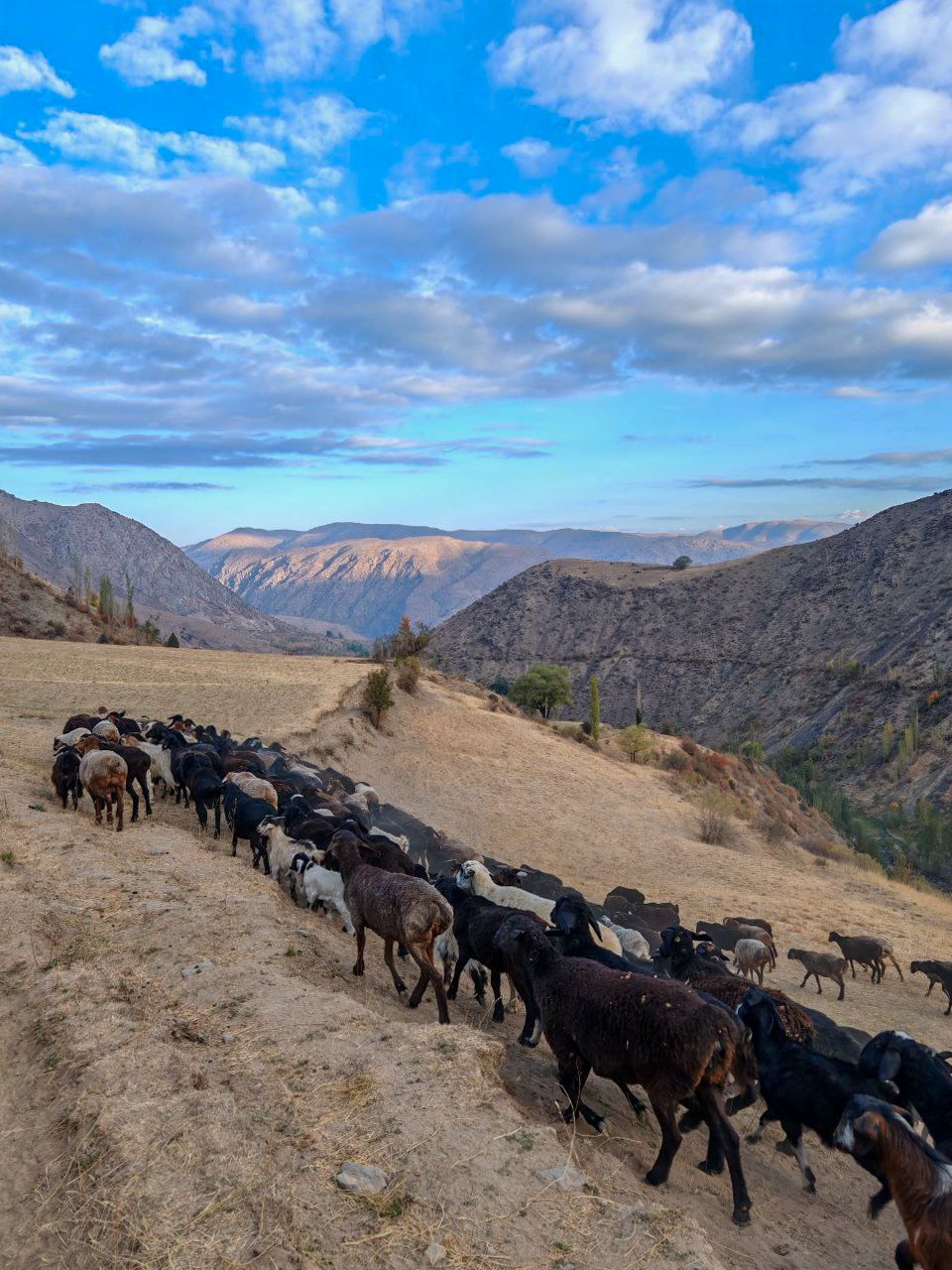 Два дня в туре нас сопровождал гид Шерзод