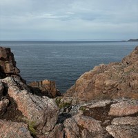 Фото отзыва 5: экскурсия "Териберка за 1 день: посёлок, китовое сафари и дегустация морепродуктов"
