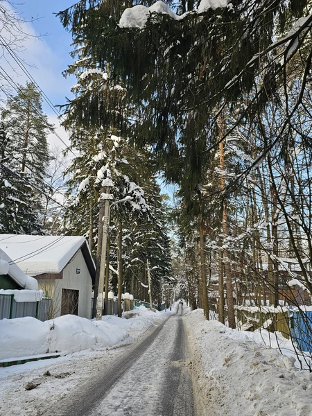 Несмотря на мороз 8 февраля 26 года прогулка по Переделкино была замечательная. Я люблю читать, поэтов