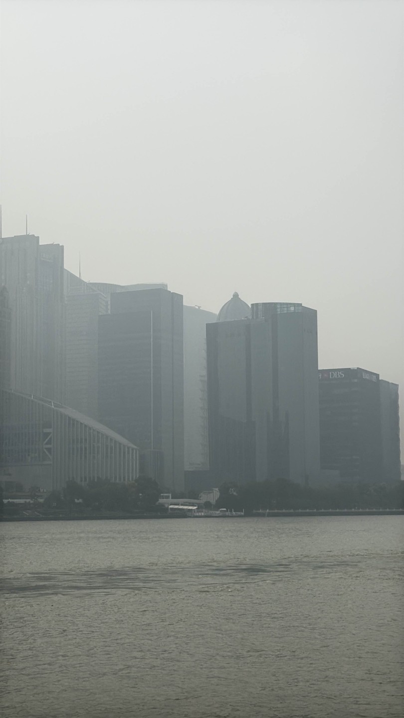 Спасибо большое Дмитрию за чудесную прогулку по Шанхаю. Дима подстроил маршрут под наши желания, рассказал и