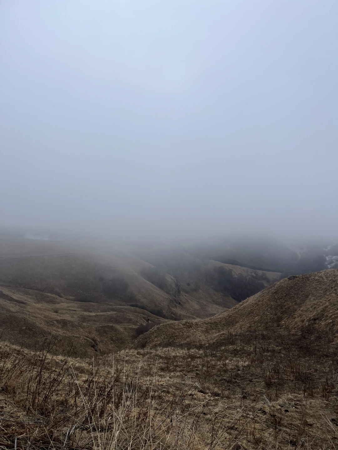 Большое путешествие по Домбаю (Анастасия)