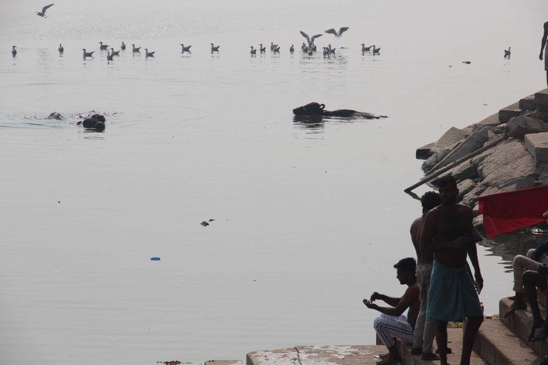 Священный Варанаси: главное за 1 день