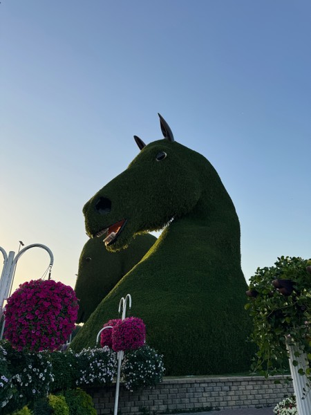 Али замечательный гид, очень интересно и с юмором рассказывал и показывал достопримечательности Дубая, его действительно интересно слушать