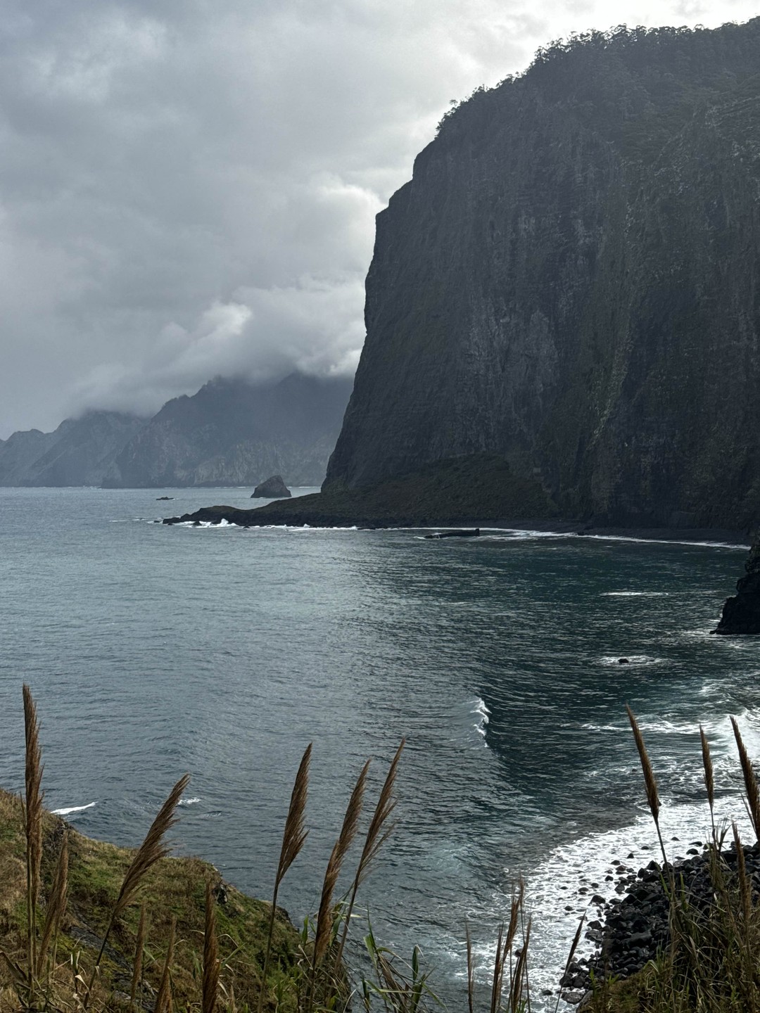 Очень понравились экскурсии с Максимом. Отличный гид, прислушивается к пожеланиям, ответит на любой вопрос. Смело рекомендовала бы друзьям!