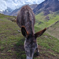 Отзыв о экскурсии "Лучшее в Северной Осетии: ущелья, древности и высокогорные селения" — фото 7