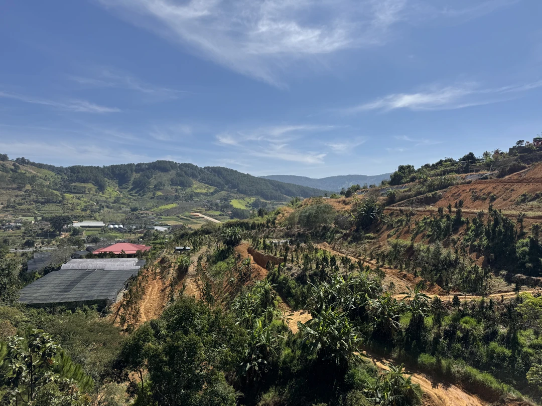 Первый раз побывали во Вьетнаме. Долго выбирали экскурсии по отзывам, остановились именно на этой. Супер сервис