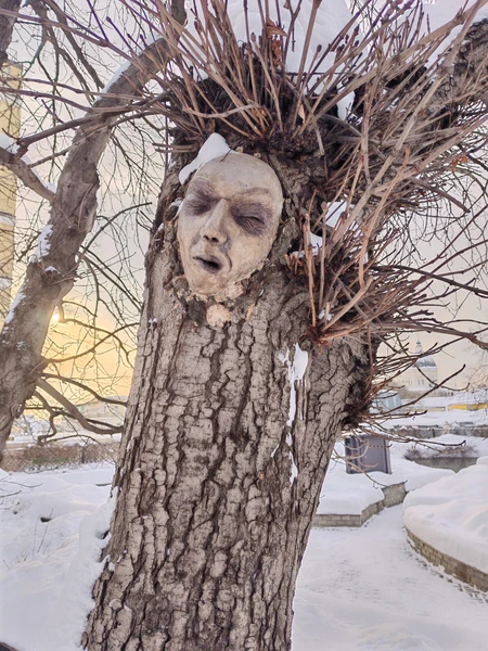 Экскурсия понравилась. Гид Александр провел по внутренним дворикам Москвы с интересными историями о них. Было прохладно