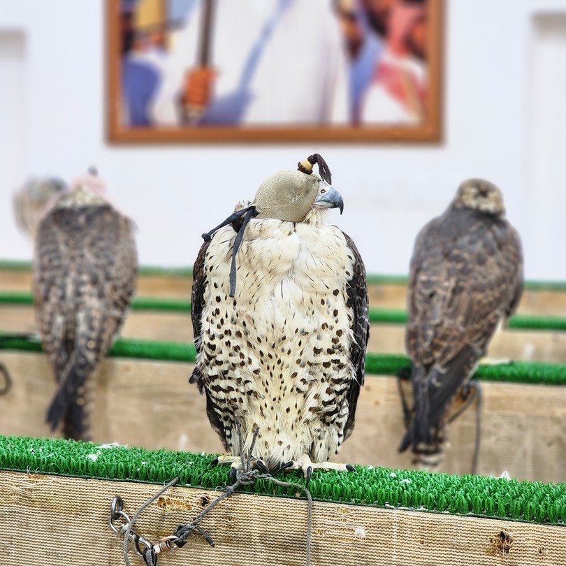 Открываем Доху - город контрастов (Сергей)