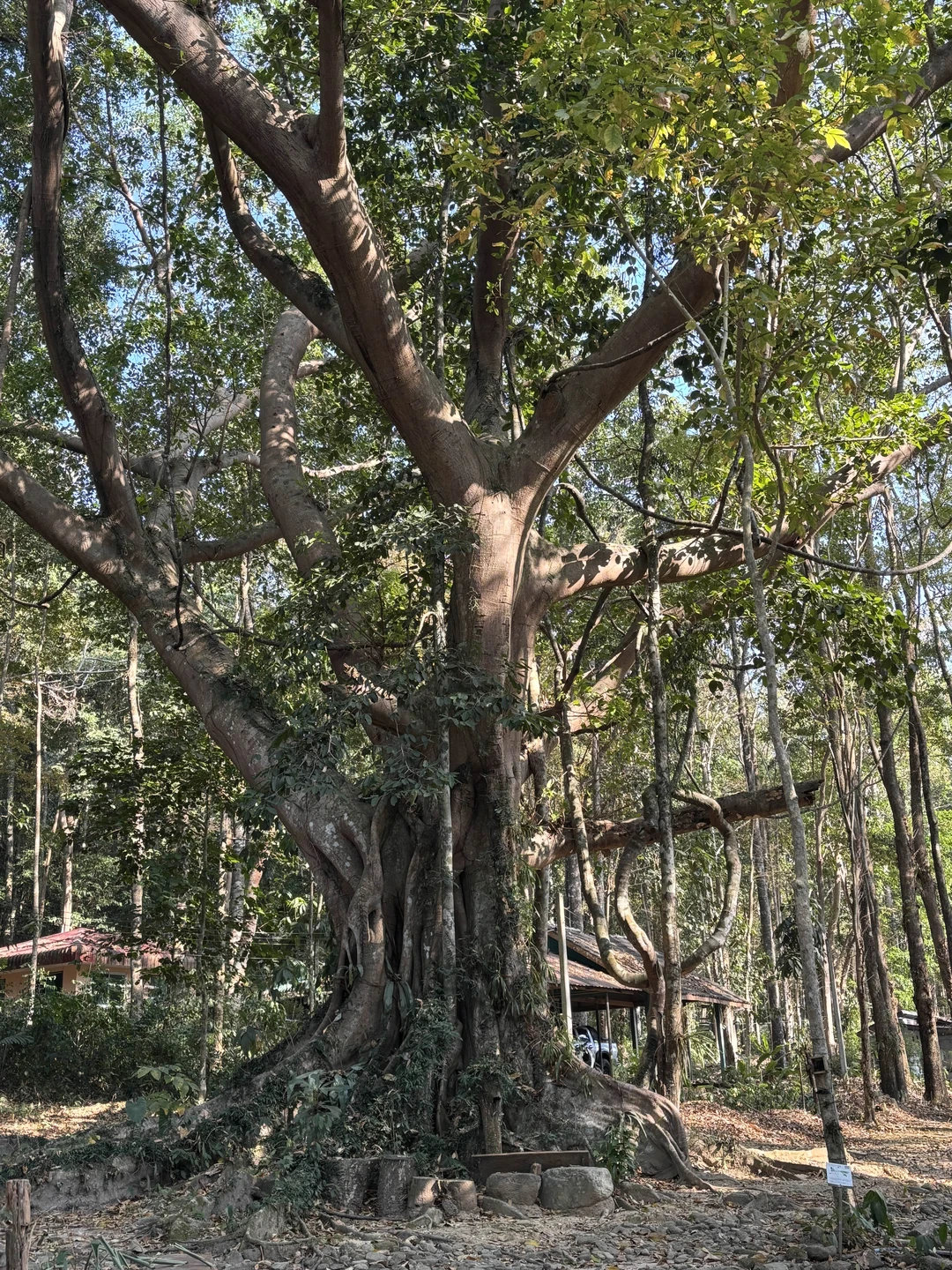 Ооооочень классная экскурсия,не легкая,тем кто не ходит много и физически не подготовлен,будет не просто забираться в
