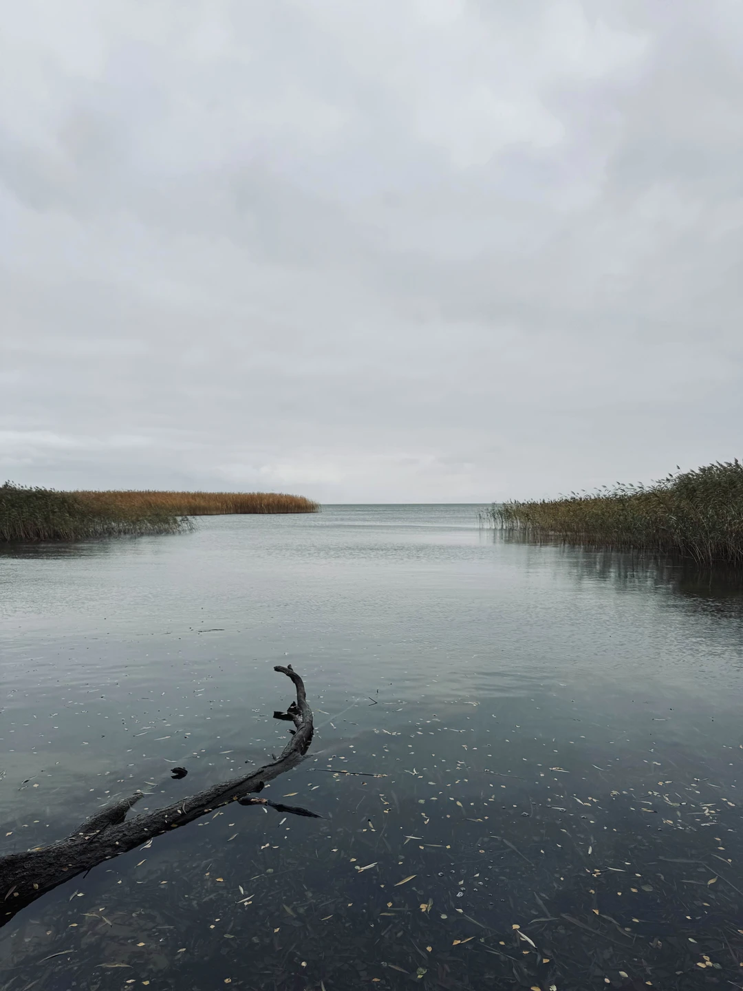 На Куршскую косу с опытным гидом - из Калининграда (Анна)