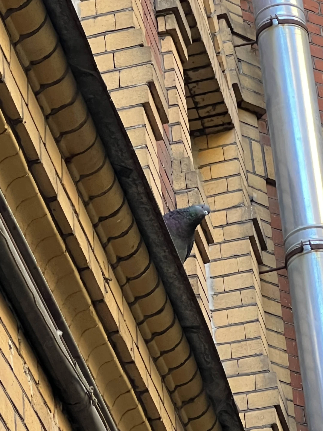 Must-see: Питер с высоты, парадные и коммуналка (Елена)