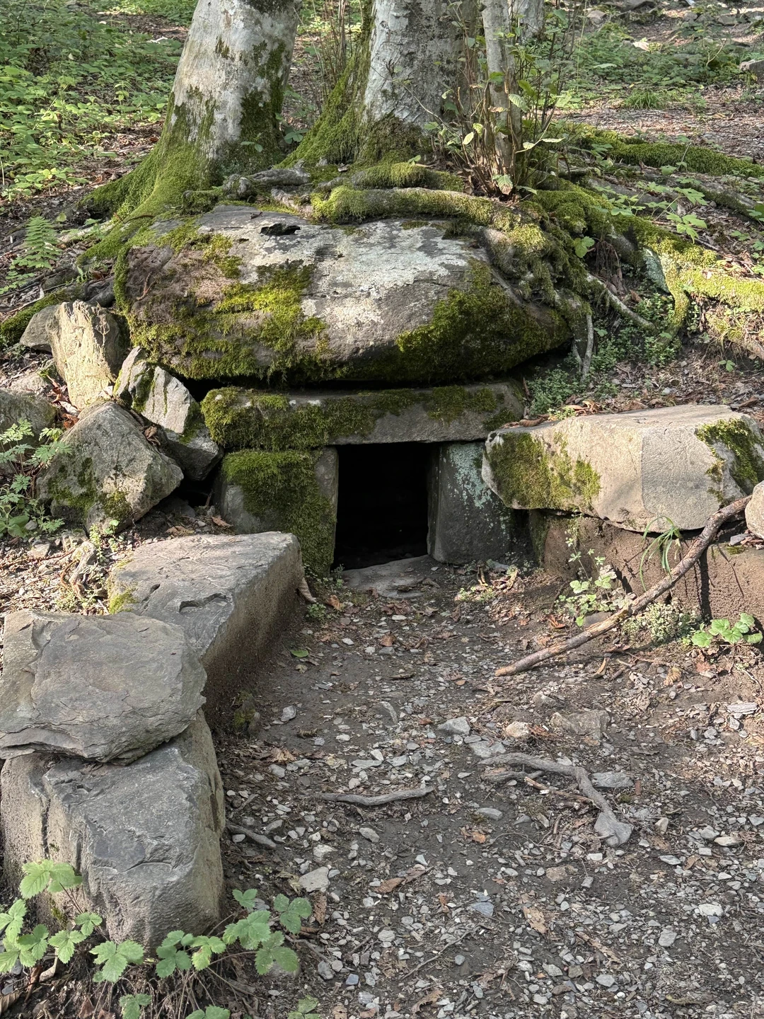 Были на джип-туре с Алексеем. Было шикарно, посетили значимые места, параллельно с этим были интересные беседы