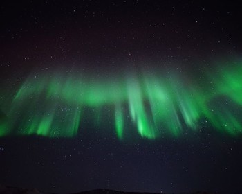 Фото отзыва 3: авторский тур "Заполярье: новогодняя история"