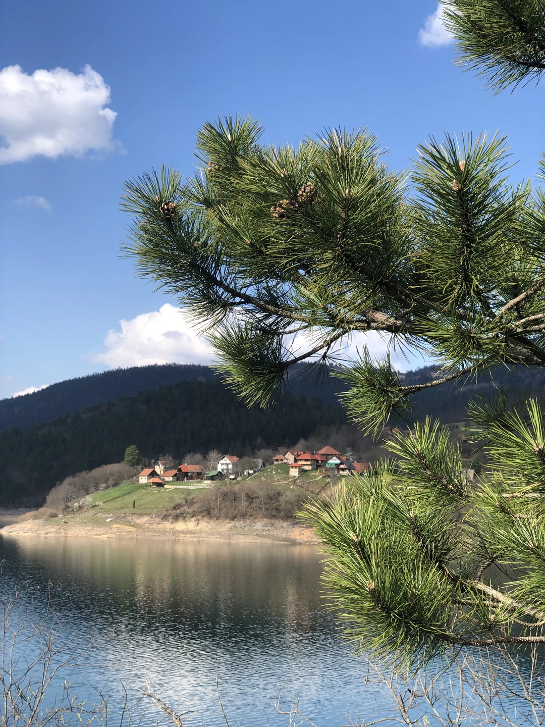 Ездили на экскурсию в Тару компанией из 4 человек с гидом Ольгой. Все было прекрасно: Ольга