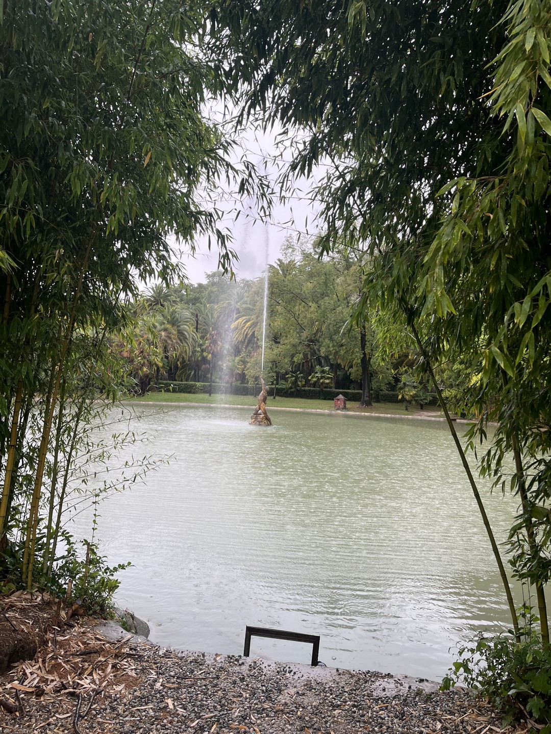 Ставим 5,0 водителю Аресу за гостеприимство!