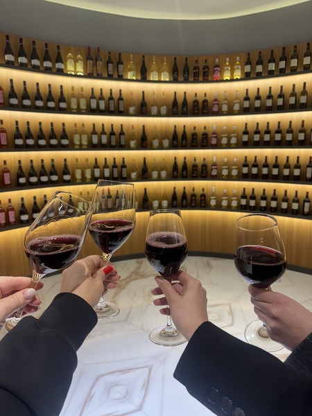 экскурсия была интересная, наш гид Давит нас вовремя встретил, комфортно везде сопровождал и всегда отвечал на наши вопросы