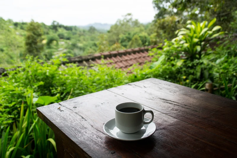 Таинственный восток Бали