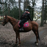 Фото отзыва 3: экскурсия "Тайны старинной усадьбы: Ворошиловская дача и конная прогулка"