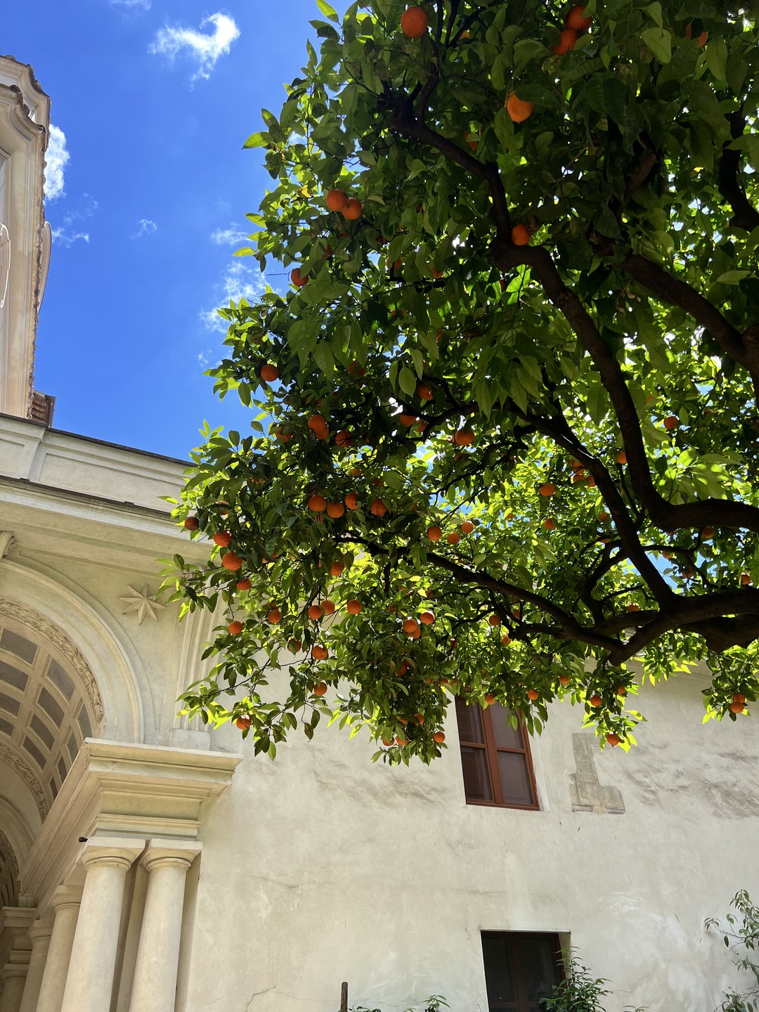 Скрытые шедевры Рима - с историком искусств (Evgeniia)