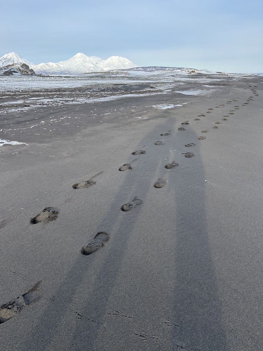 Вы и Океан: экскурсия на Халактырский пляж (Елена)