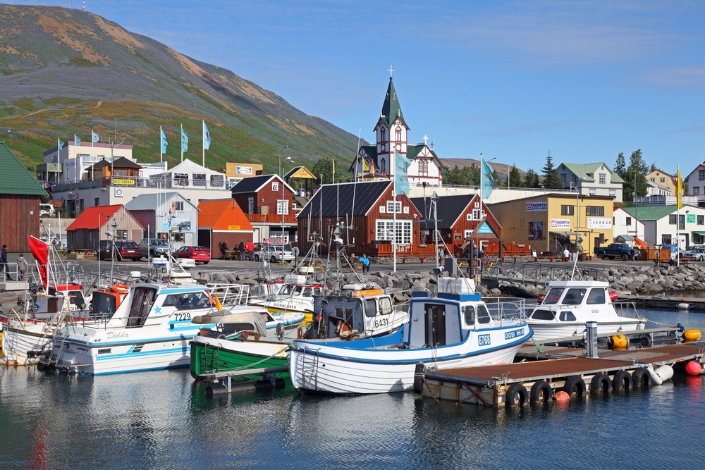 В объятьях стихий: природа Исландии и прогулки по 3 городам (3/15)